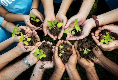 Group of people standing in a circle holding tree seedlings